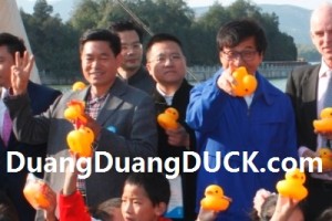 LCD_Jackie_duangduangDUCK